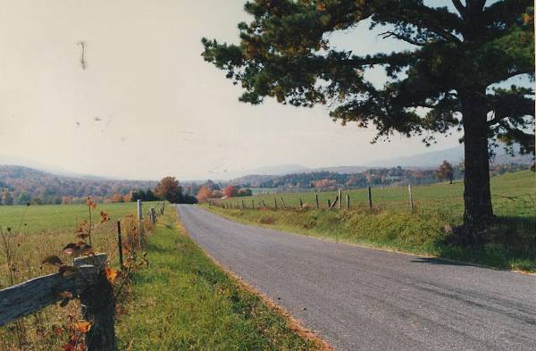 John's Creek Valley