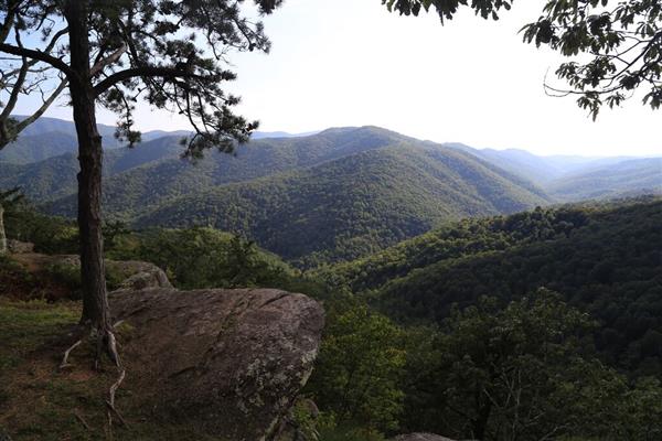 Blue Ridge Parkway - Shenandoah Valley (5/26/2016)