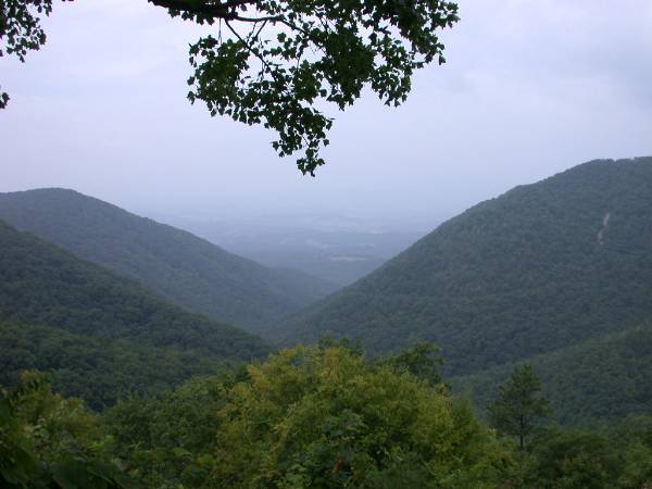 Blue Ridge Parkway - Shenandoah Valley - BRP Milepost 40 (7/18/2008)