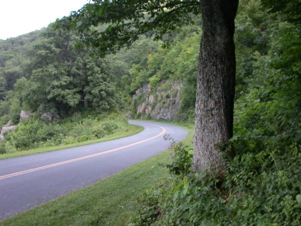 Blue Ridge Parkway - Shenandoah Valley - BRP Milepost 6 (7/18/2008)
