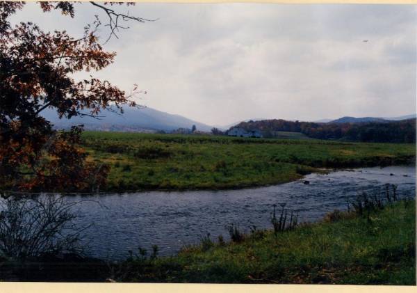 John's Creek Valley