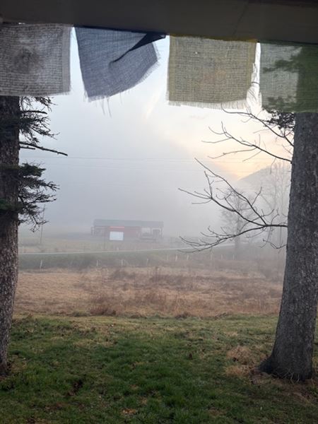 Townsend Draft Farm