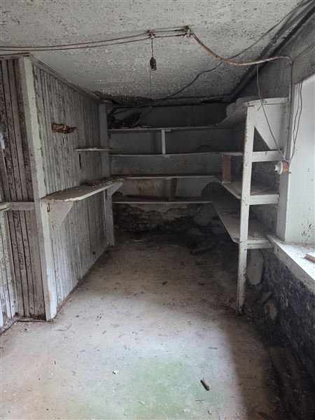 The Dunnington Mansion (8/3/2026 - Credits: Joe Cacciotti)