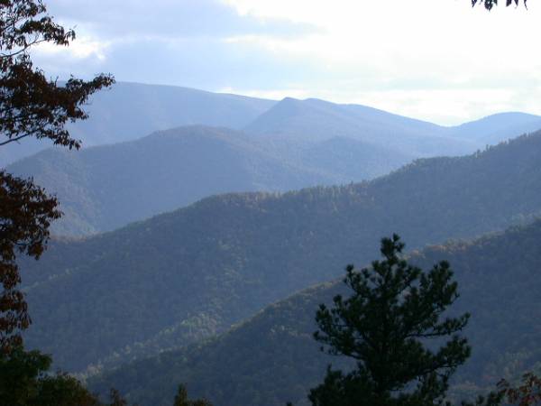 Blue Ridge Parkway - Shenandoah Valley - BRP Milepost 20 (7/18/2008)