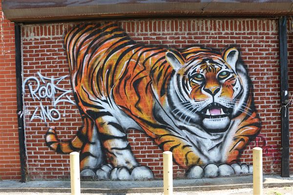 Tiger Market