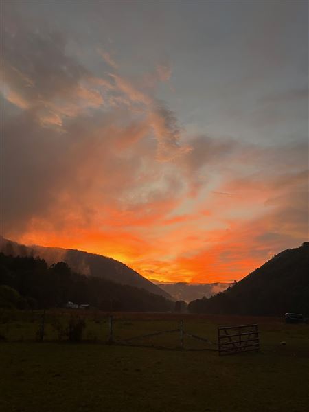 Townsend Draft Farm