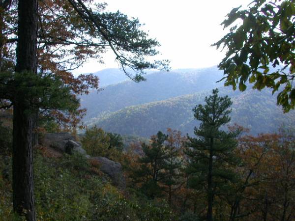 Blue Ridge Parkway - Shenandoah Valley - BRP Milepost 20 (7/18/2008)
