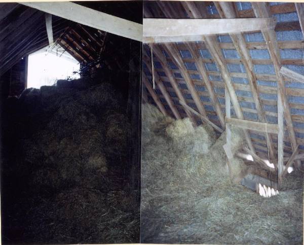 Oakmulgee Dairy Farm
