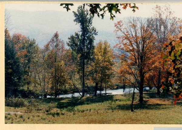 John's Creek Valley
