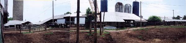 Oakmulgee Dairy Farm