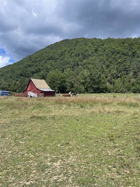 Townsend Draft Farm